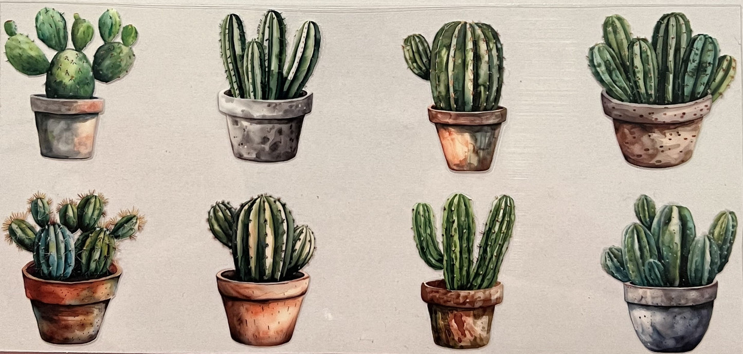 Cactus Decal - #1