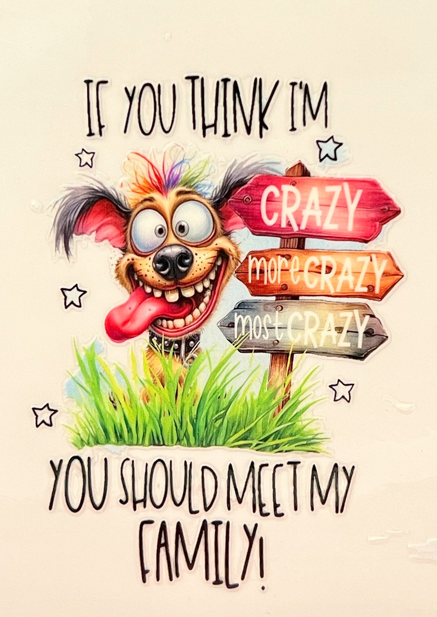 Sarcasm Decal - #149